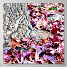 stump poster