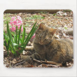 Stumpy The Cat Mousepad