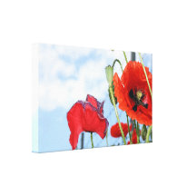 stunning poppies stretched canvas prints