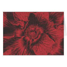 Stunning Red Flower Note Card