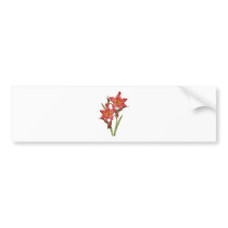 Stunning Tropical Amaryllis Study