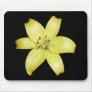 Stunning Yellow Lily Flower Mouse Pads
