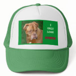 Stupid Dog