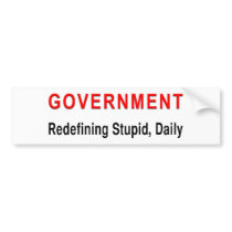 Stupid Government