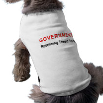 Stupid Government