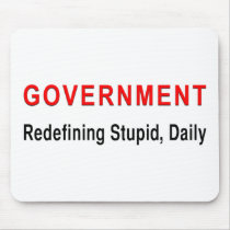 Stupid Government