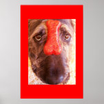 Stupid Human Tricks posters