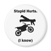 Stupid Hurts (I Know) Magnet