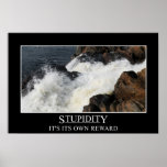 Stupidity is its own reward (L) posters