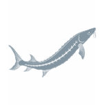 Sturgeon Fish t-shirts