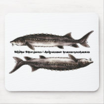 Sturgeon Mouse Pad - White Sturgeon