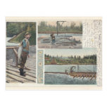 Sturgeon Salmon Wheel Postcard