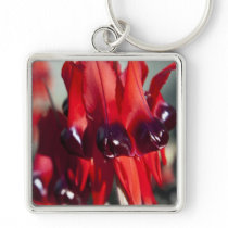 Sturt Desert Pea Keychain