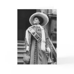 Stylin' Suffragette, 1908 Cards