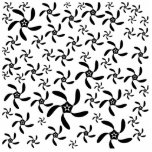 Stylish Black and White Flowers Pattern. Cut Out