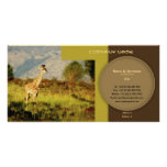 Stylish giraffe safari profile cards customisable photo cards