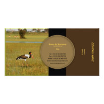 Stylish wild birds profile cards customisable