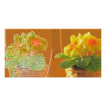 Stylized Effect Flower Basket Photo Card photo cards