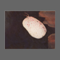 Sub Postcard