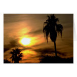 Sub-tropical sunset cards