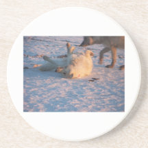 Submission Beverage Coasters