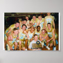 Substate Champions posters
