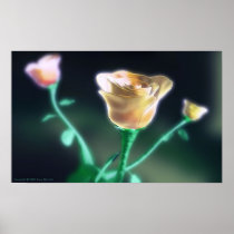 Subtle Beauty Posters