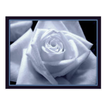 Subtle Blues Postcards