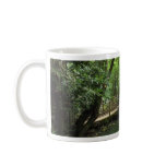 Subtropical Garden mugs