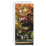 Suburban Autumn rack cards