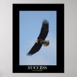 SUCCESS Bald Eagle Motivational Poster posters