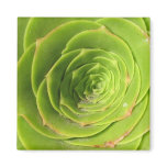Succulent Magnet