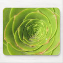 Succulent mousepads