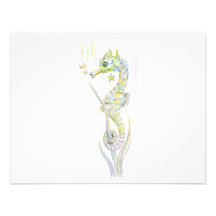 Succulent Seahorse Announcement