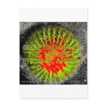 SUCCULENTS AND FLORALS POSTCARD