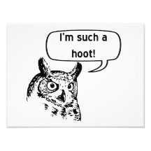 Such a Hoot Photograph