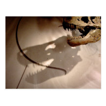 Sue's Shadow Post Cards