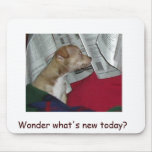Sugar Bear reading the paper with Mo, Wonder wh... mousepads