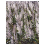 Sugar cane flyers