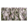 Sugar cane customized photo card