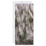Sugar cane rack card