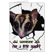 Sugar Glider Did Someone Ask for a Little Sugar Greeting Cards