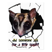 Sugar Glider Did Someone Ask for a Little Sugar Postcards