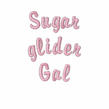 Sugar glider Gal Embroidered Hoody