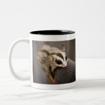 Sugar Glider mug