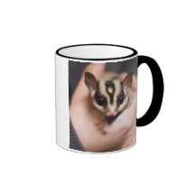 Sugar Glider mug