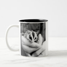 Sugar Glider mug