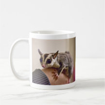 Sugar Glider mug