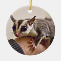 Sugar Glider ornament