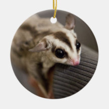 Sugar Glider ornament